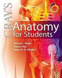 Read 122 reviews from the world's largest community for readers. Gray S Anatomy For Students Wikipedia