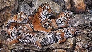 For this reason, tigers raised in captivity would not fare well if released into the wild. Hd Wallpaper Group Of Tigers Predators Young Hdr Animal Wildlife Mammal Wallpaper Flare