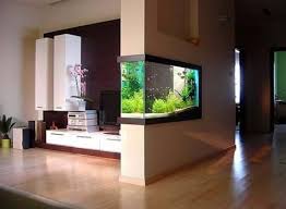 Fish tank bed feng shui improve yourself sea bedroom room ocean bedrooms master bedrooms. Fish Tank Room Divider Architecture Design Facebook