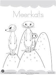 Simply click the free meerkat, print the image and color until your hearts content. Pin On Outline