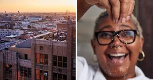 How the Bok Building Became South Philly's Center of Creative Cool