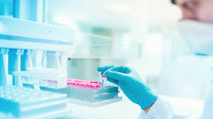 Sotrovimab 1mtk0bpn8v overview names 10: Eu Medicines Agency On Twitter Ema Has Started A Rolling Review Of Data On Sotrovimab Also Known As Vir 7831 And Gsk4182136 A Monoclonal Antibody Developed By Glaxosmithkline And Vir Biotechnology For The