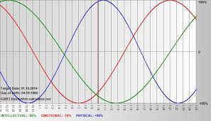 Biorhythm Calculator Actually Very Cool Good To Know