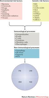 Read more about symptoms, diagnosis, treatment, complications, causes and prognosis. Risk Factors And Disease Mechanisms In Myositis Nature Reviews Rheumatology
