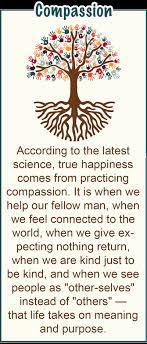 How Meditation Makes You More Compassionate & Kind – Eoc Institute