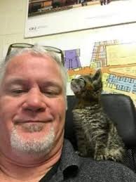 Kitten found glued to the road and rescued