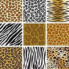 Animal Fur Patterns Seamless Patterns Animal Prints Pattern Animal Skin