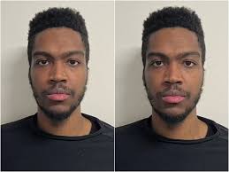 Grandson of trailblazing female doctor, 87, allegedly confesses to killing  her