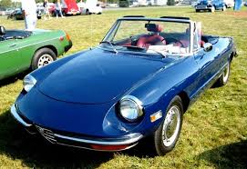 Image result for Blue Procida 1971 Alfa-Romeo