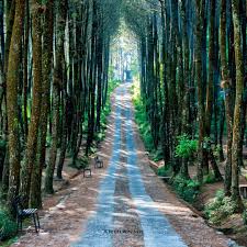 ↪ my creation will give your desktop a animated wallpaper apart from the earth's atmosphere. Unduh 930 Koleksi Background Foto Jalanan Hd Terbaik Download Background