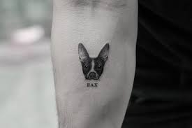 We did not find results for: Micro Pet Portrait Tattoos By Sanghyuk Ko
