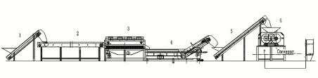 Our Company Devotes To Pineapple Juice Processing