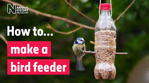 Squirrels can jump distances of 10 feet or greater, so place feeders well away from trees, wires, porches, gutters, roofs, and other launching points to make it harder for squirrels to get on the feeder. How To Make A Bird Feeder Natural History Museum
