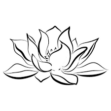 Pin On Lilies Cafe Restaurant