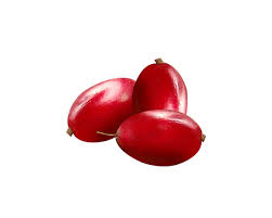 Image result for Synsepalum