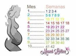 Firearm semanas cuantos meses tonada linear unit turbación. Tengo 16 Semanas Cuantos Meses Son Club De Bebes Junio 2018 Babycenter