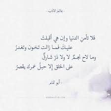 فلا تأمن الدنيا وإن هي أقبلت أبو تمام عالم الأدب Words Quotes Talking Quotes Arabic Poetry