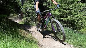 Walmart.com has been visited by 1m+ users in the past month Mountainbiker Im Hochtaunuskreis Wahrend Corona