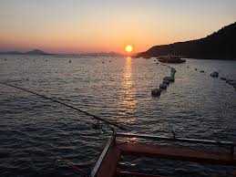 Gambar lautan lepas yang cantik dan indah begitu mempesona mata. Cahaya Matahari Terbenam Memancing Pancing Matahari Laut Pemandangan Air Pemandangan Yang Tenang Langit Keindahan Di Alam Pxfuel