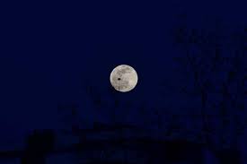 2021'in ilk süper ay'ı gerçekleşecek. Super Pembe Ay Mut Tan Gozlendi Mut Ilcemiz