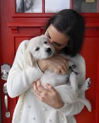 For australia, the ee20 diesel engine was first offered in the subaru br outback in 2009 and subsequently powered the subaru sh forester, sj forester and bs outback. Woman Reunited With Puppy Stolen From Nashville Yard