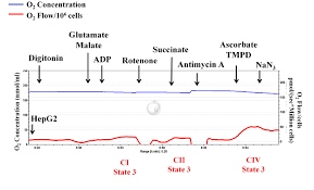Rop og bpd, og feil i metabolske pathways i mitokondriene, krebs syklus, oksidativ fosforylering, glykogen. High Resolution Respirometry To Assess Mitochondrial Function In Permeabilized And Intact Cells Protocol Translated To Norwegian