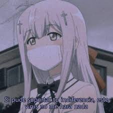 Funny pfp 500 x 500; Momo Funny Tumblr Posts Tumbral Com