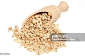 Image result for Coix