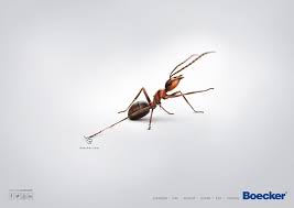 Boecker Pest Control On Behance Pest Control Plants Pest Control Pests