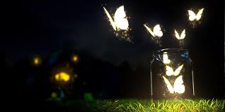 Light Night Grass Twitter Cover Twitter Background Twitrcovers Twitter Cover Facebook Cover Images Facebook Cover