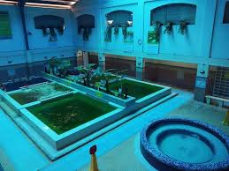 Locate and compare home improvements & renovations in brossard qc, yellow pages local listings. Water Spa Needs Massage Review Of Ace Water Spa Quezon City Philippines Tripadvisor