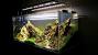 Hardscape Aquarium