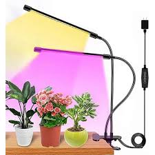 The 8 best desk organizers of 2021. Grow Lights For Indoor Plants Full Spectrum Plant Growing Lamp Clip On Desk 60 Light Bulbs 3 Modes With Timing Function Walmart Com Walmart Com