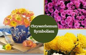 Pin On Plants And Flower Symbols