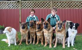 Levin men's hockey team makes finals for first time