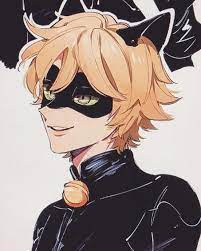Chat Noir Facebook Pop Miraculous Ladybug Anime Miraculous Ladybug Comic Miraculous Ladybug And Cat Noir
