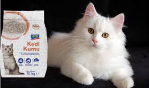 Kedi Kumu Kokusu Nasil Giderilir Sifir Koku Suzionline