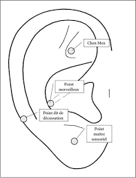 Los Distintos Sentidos Olfato Vista Degustacion Y Una Accion De Coordinacion Aferen Acupuntura Puntos Acupuntura Para Adelgazar Curso De Auriculoterapia
