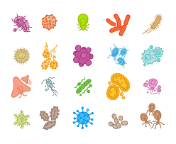 Read on for some hilarious trivia questions that will make your brain and your funny bone work overtime. Sexually Transmitted Infections Quiz Teen Health Source