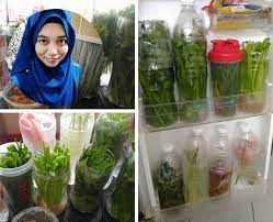 Kemudian, tapis dan campurkan air yang telah ditapis itu dengan madu. Nak Pastikan Kekal Segar Ikut Je Petua Dari Wanita Ni Memang Terbukti Menjadi Keluarga