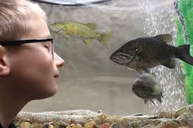 Des voix se portent à la défense de l'aquarium et centre marin de Shippagan