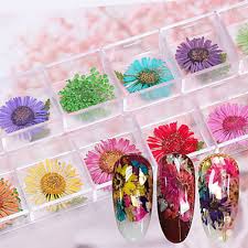 Whether done freehand with a brush or with the help of stamps, a floral effect is surprisingly easy — and always lovely. 12 Pcs Decals Multi Function Best Quality Flower Nail Art Manicure Pedicure Daily Festival Romantic Fashion 06911681 Buy Online In India At Desertcart In Productid 83233486
