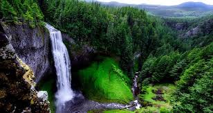 Maybe you would like to learn more about one of these? Salt Creek Falls A Cascade And Plunge Waterfall On Salt Creek Near Oakridge Oregon Dailymi