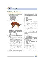 Soal uas ipa kelas 6 semester 2 dan kunci jawaban. Kumpulan Soal Ipa Sd Kelas 6 Pdf
