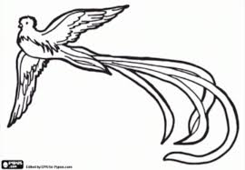 El Quetzal Bird Of Guatemala Would Make A Nice Pyrography Pattern I Ve Got To Try This Coloring Pages Bird Coloring Pages Pyrography Patterns Here presented 55+ easy drawing for girls images for free to download, print or share. el quetzal bird of guatemala would