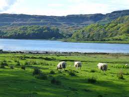 Schottland umfasst das ganz im norden gelegene drittel der insel großbritannien. Mitarbeiter Tipp Schottland Dertour