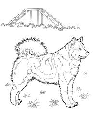 It's not only fun to play with by the children but children can also express their love and care for other creatures. Cute Puppy Puppies Coloring Page Novocom Top