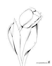 Coloriage Tulipe Les Beaux Dessins De Nature A Imprimer Et Colorier Coloring Pages For Kids Tulips Coloring Pages