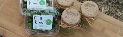 Image result for foto minikiwi