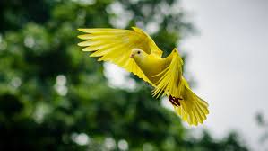 Image result for images Fellowship With The Holy Spirit